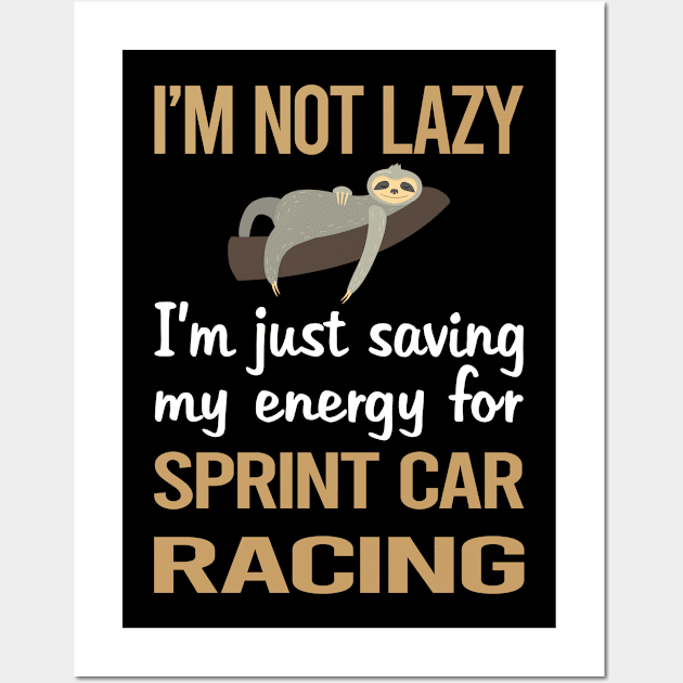 Saving Energy Sprint Car Cars Racing Wall Art by lainetexterbxe49